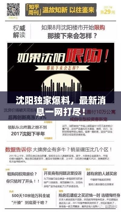 沈阳独家爆料，最新消息一网打尽！