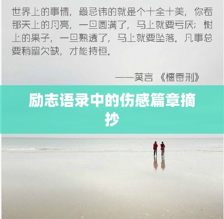 励志语录中的伤感篇章摘抄
