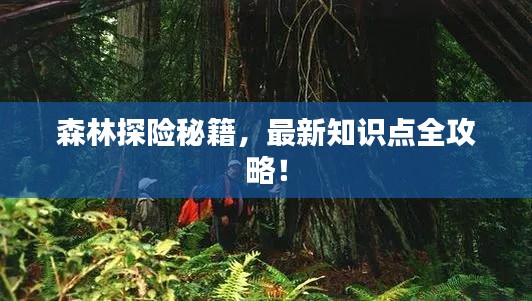 森林探险秘籍，最新知识点全攻略！