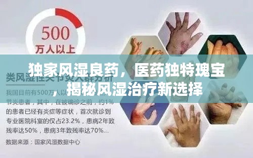 独家风湿良药，医药独特瑰宝，揭秘风湿治疗新选择