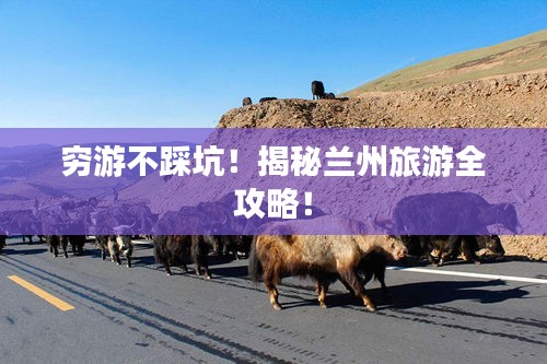 穷游不踩坑！揭秘兰州旅游全攻略！