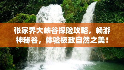 张家界大峡谷探险攻略，畅游神秘谷，体验极致自然之美！