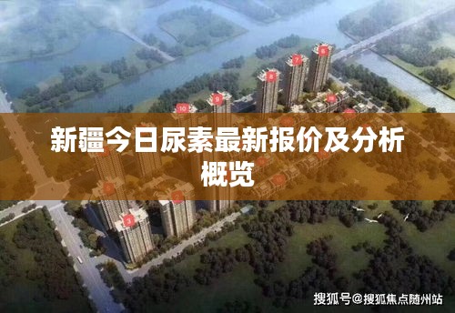 新疆今日尿素最新报价及分析概览