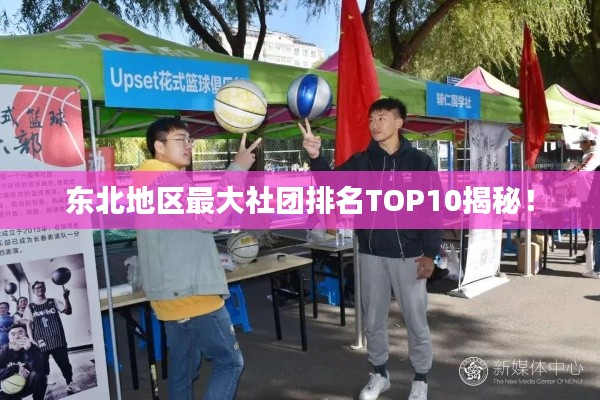 东北地区最大社团排名TOP10揭秘！