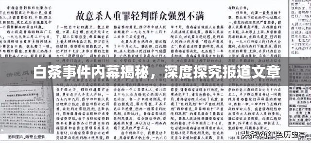 白茶事件内幕揭秘，深度探究报道文章