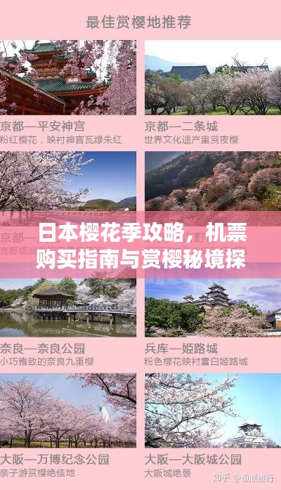 日本樱花季攻略，机票购买指南与赏樱秘境探索