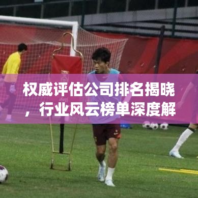 权威评估公司排名揭晓，行业风云榜单深度解析！