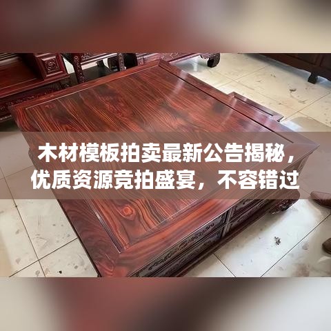 木材模板拍卖最新公告揭秘，优质资源竞拍盛宴，不容错过！