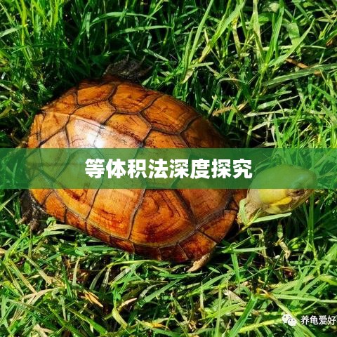 等体积法深度探究