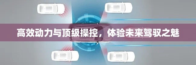 寥若晨星 第2页
