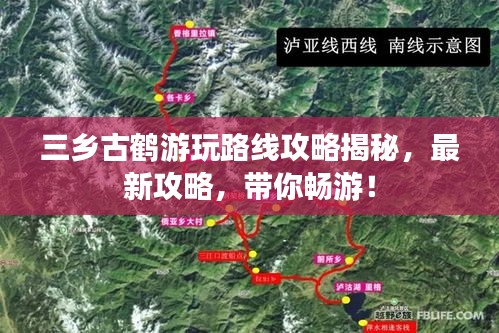 三乡古鹤游玩路线攻略揭秘，最新攻略，带你畅游！