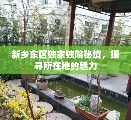 新乡东区独家独院秘境，探寻所在地的魅力