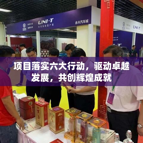 项目落实六大行动，驱动卓越发展，共创辉煌成就