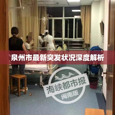 泉州市最新突发状况深度解析