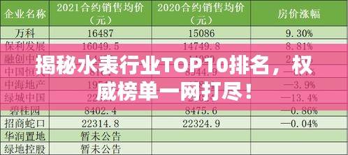 揭秘水表行业TOP10排名，权威榜单一网打尽！