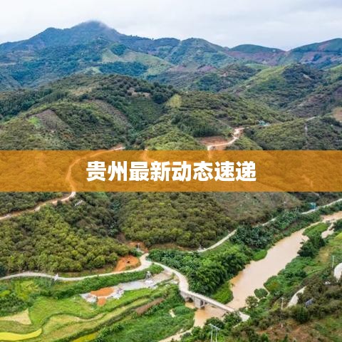 贵州最新动态速递