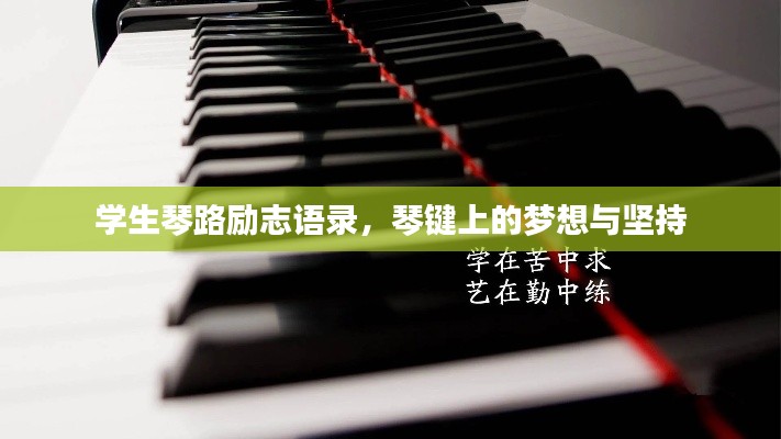学生琴路励志语录，琴键上的梦想与坚持