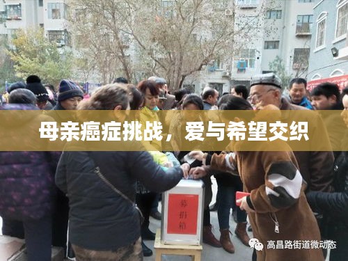 母亲癌症挑战，爱与希望交织