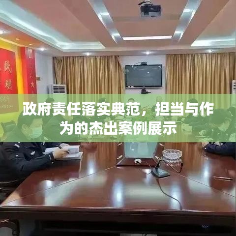 政府责任落实典范，担当与作为的杰出案例展示