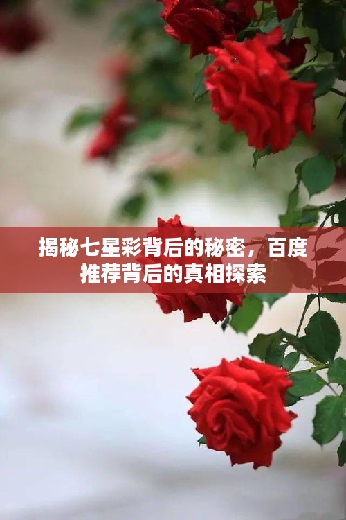 揭秘七星彩背后的秘密，百度推荐背后的真相探索