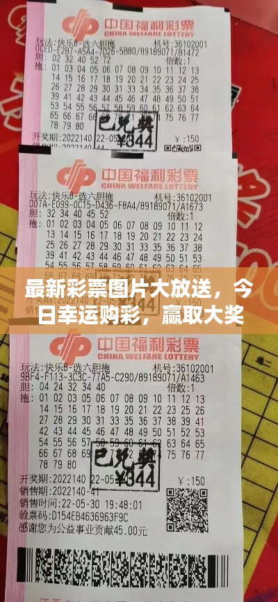 最新彩票图片大放送，今日幸运购彩，赢取大奖的机会来啦！