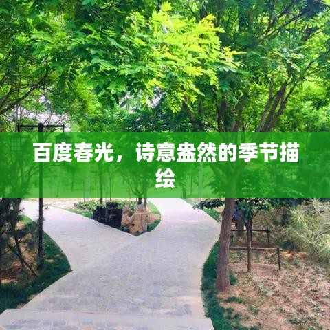 百度春光，诗意盎然的季节描绘