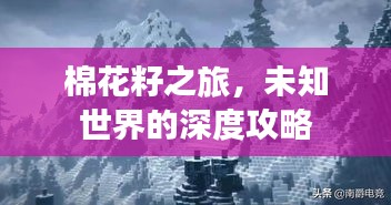 棉花籽之旅，未知世界的深度攻略