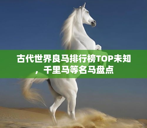 古代世界良马排行榜TOP未知，千里马等名马盘点