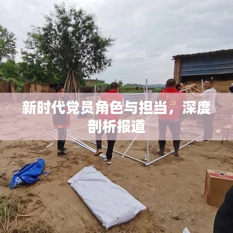 新时代党员角色与担当，深度剖析报道