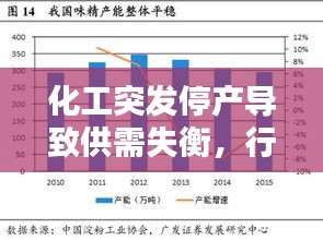 化工突发停产导致供需失衡，行业应对策略深度解析