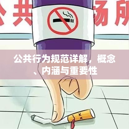 公共行为规范详解，概念、内涵与重要性