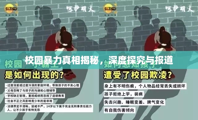 校园暴力真相揭秘，深度探究与报道