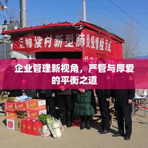 企业管理新视角，严管与厚爱的平衡之道