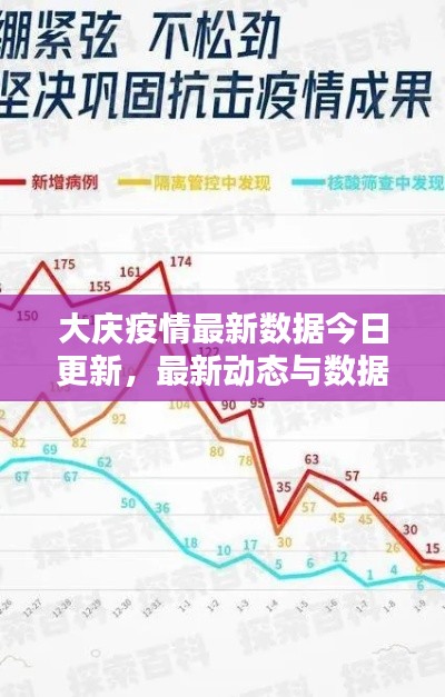 大庆疫情最新数据今日更新，最新动态与数据概况