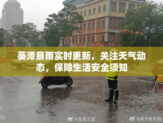 葵潭暴雨实时更新，关注天气动态，保障生活安全须知