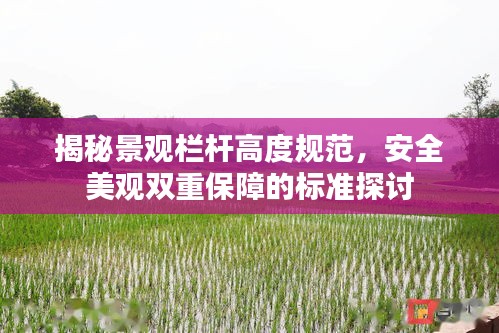 揭秘景观栏杆高度规范，安全美观双重保障的标准探讨