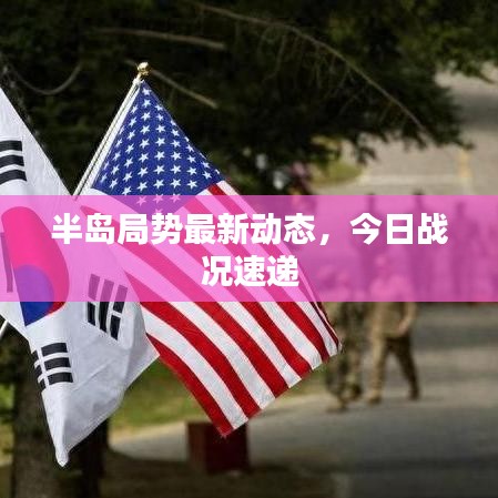 半岛局势最新动态，今日战况速递