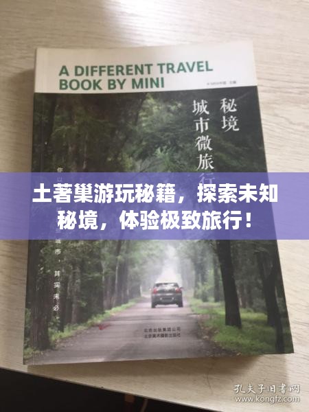 土著巢游玩秘籍，探索未知秘境，体验极致旅行！