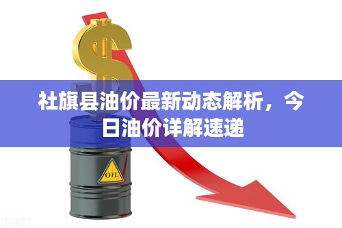 社旗县油价最新动态解析，今日油价详解速递