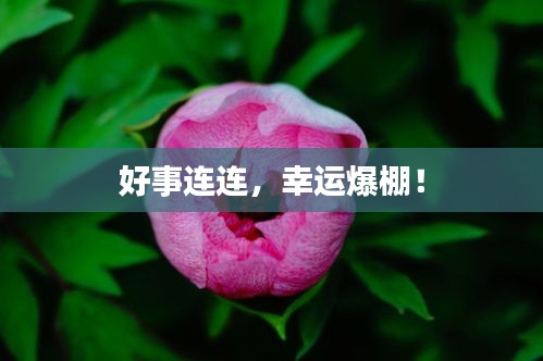 好事连连，幸运爆棚！
