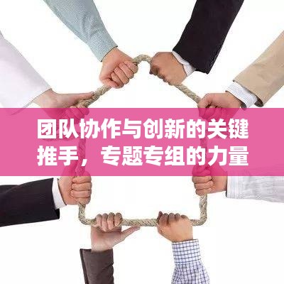 团队协作与创新的关键推手，专题专组的力量