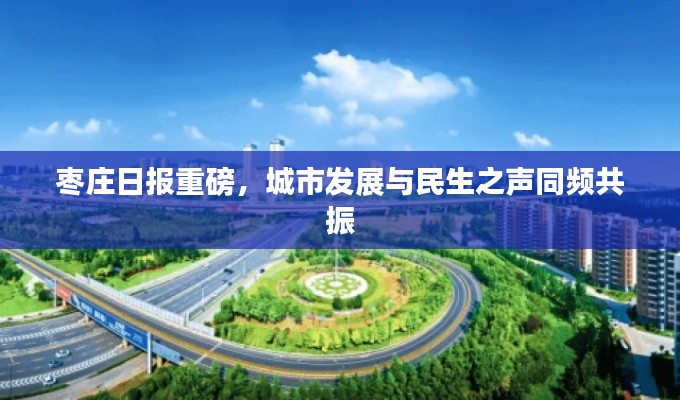 枣庄日报重磅，城市发展与民生之声同频共振