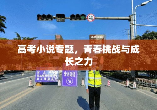 高考小说专题，青春挑战与成长之力