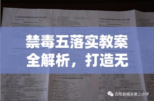 禁毒五落实教案全解析，打造无毒校园的关键步骤