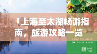 「上海至太湖畅游指南，旅游攻略一览无余」