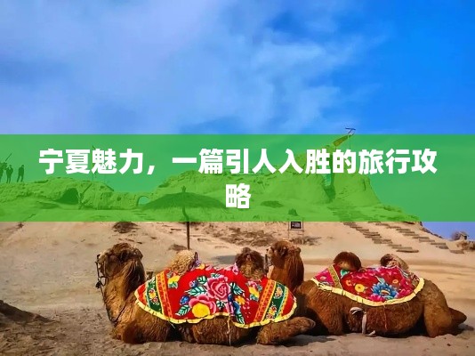 宁夏魅力，一篇引人入胜的旅行攻略