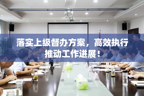 落实上级督办方案，高效执行推动工作进展！