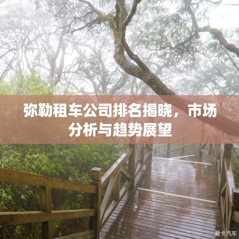 弥勒租车公司排名揭晓，市场分析与趋势展望