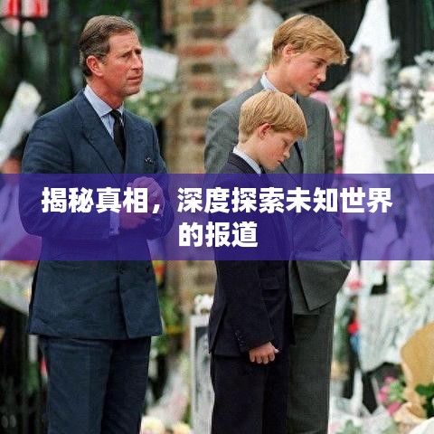 揭秘真相，深度探索未知世界的报道