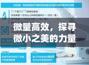 微量高效，探寻微小之美的力量探索